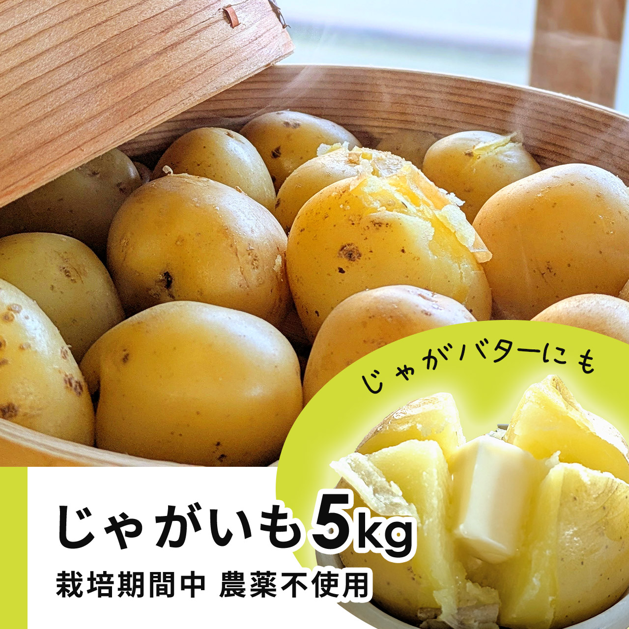 じゃがいも 5kg キタアカリ